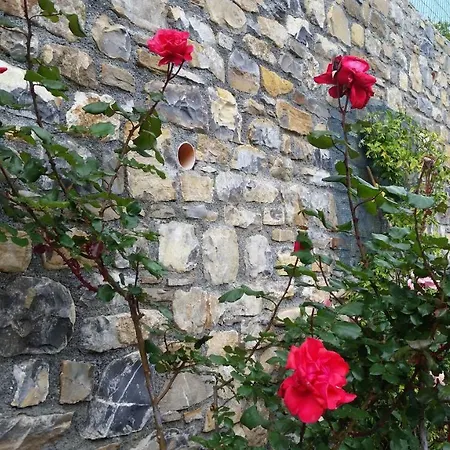 Prázdninový dům La Casa Di Antonio Imperia